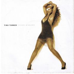 Albumart Steamy Windows from Tina Turner.