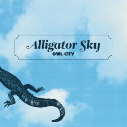 Albumart Alligator Sky from Owl City.