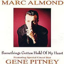 Albumart Something's Gotten Hold Of My Heart from Marc Almond & Gene Pitney.