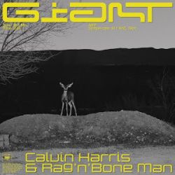 Albumart Giant from Calvin Harris & Rag'n'Bone Man.