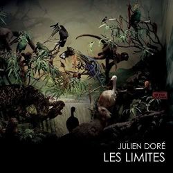 Albumart Les limites from  Julien doré.