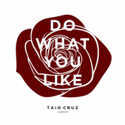 Albumart Do What You Like from Taio Cruz.