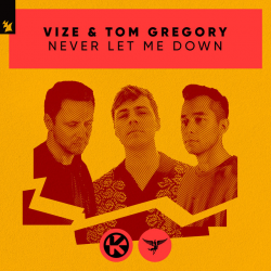 Albumart Never Let Me Down from VIZE & Tom Gregory.