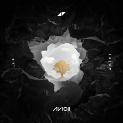 Albumart Without You from Avicii.