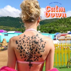 Albumart You Need to Calm Down from Taylor Swift.