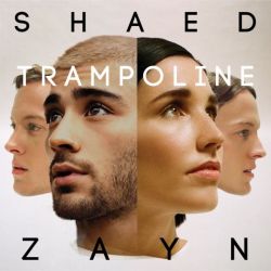 Albumart Trampoline from Shaed & Zayn.